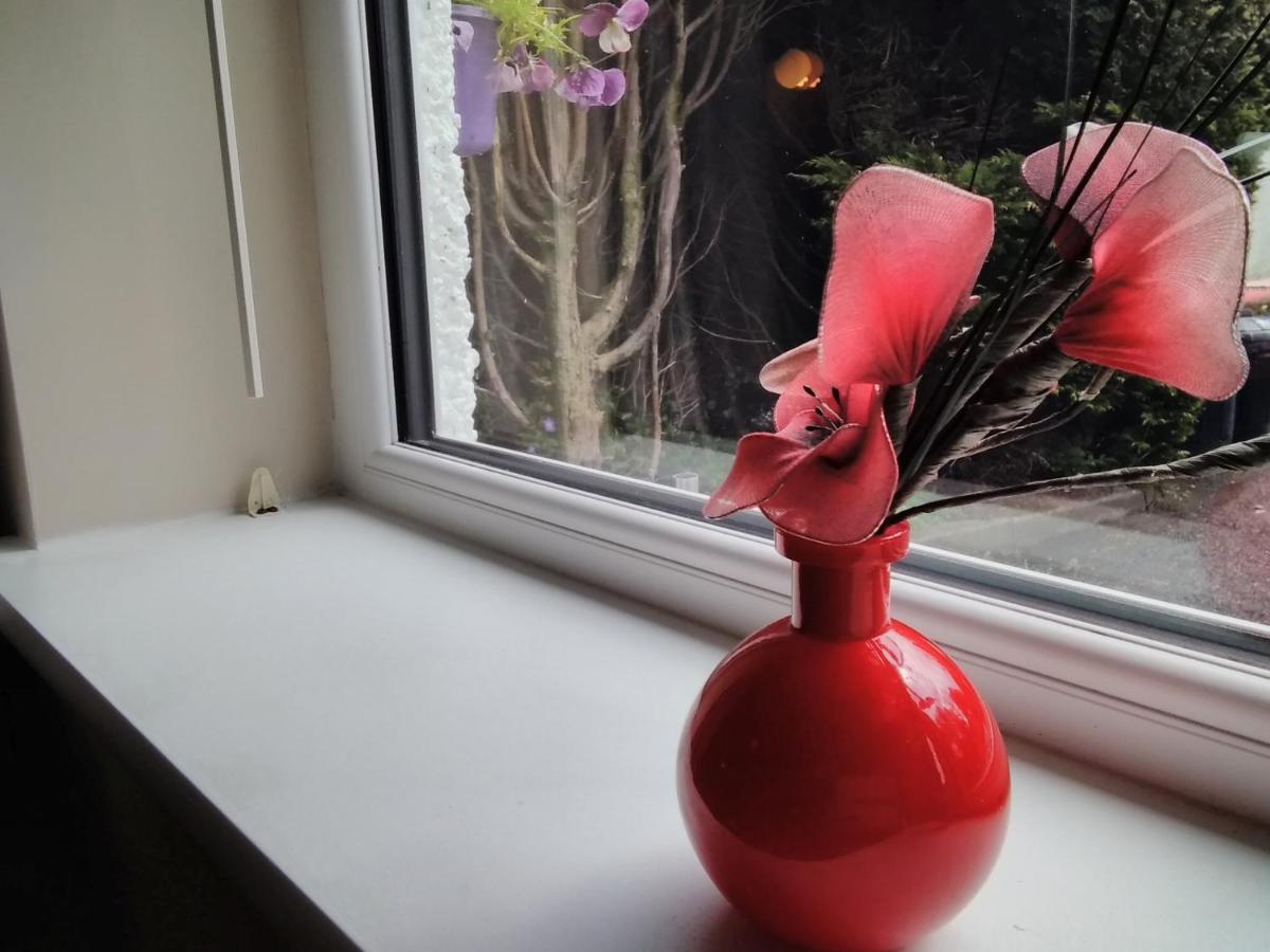 Windermere Studio Rooms - With Free Car Parking Onsite Dış mekan fotoğraf